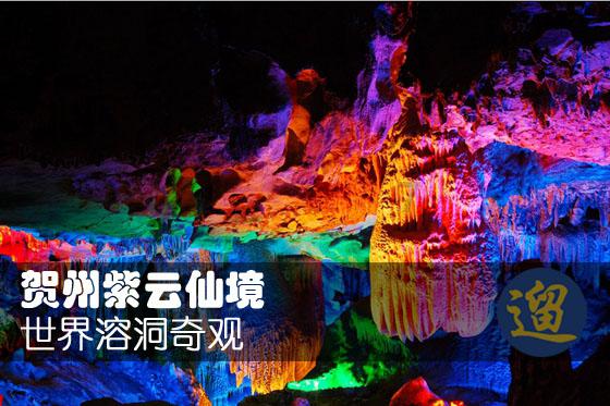 青海果洛:成群岩羊在高原雪山奔跑