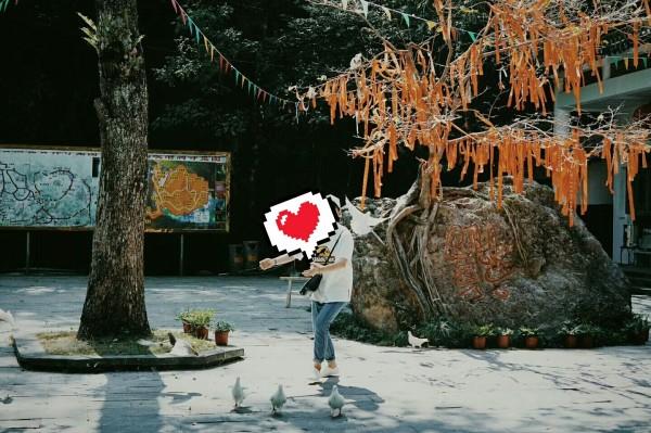 “我不是大明星,我是小公主”,可爱王诗龄变成大长腿美少女!