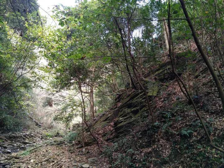 燃烧吧大脑免广告最新版
