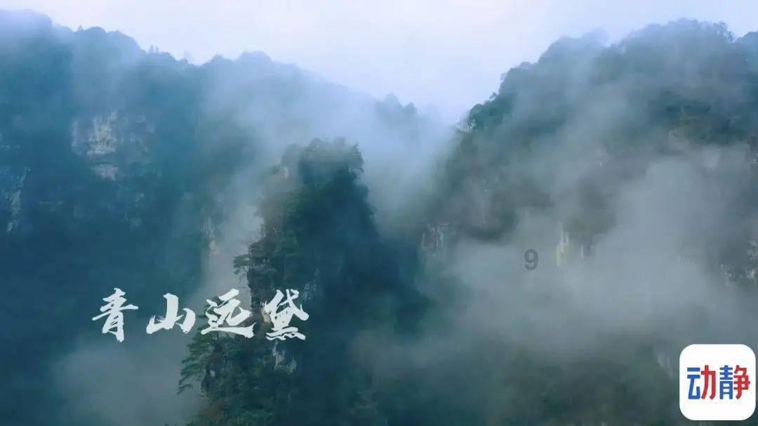 空军战斗