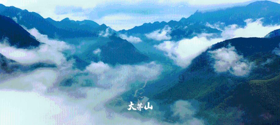 牛奶中的防腐剂真相：是毒还是药？3种“牛奶”要慎饮