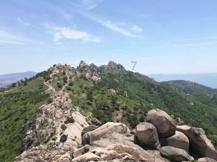 瑞德的冒险之旅中文版