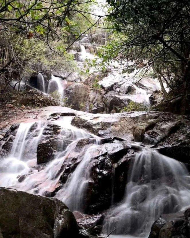 逃出绿色公寓